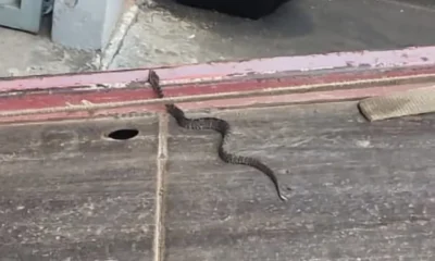 WhatsApp-Image-2023-12-12-at-10.35.39-1000x600