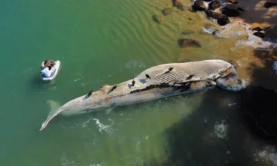 WhatsApp-Image-2023-12-13-at-08.55.48-1