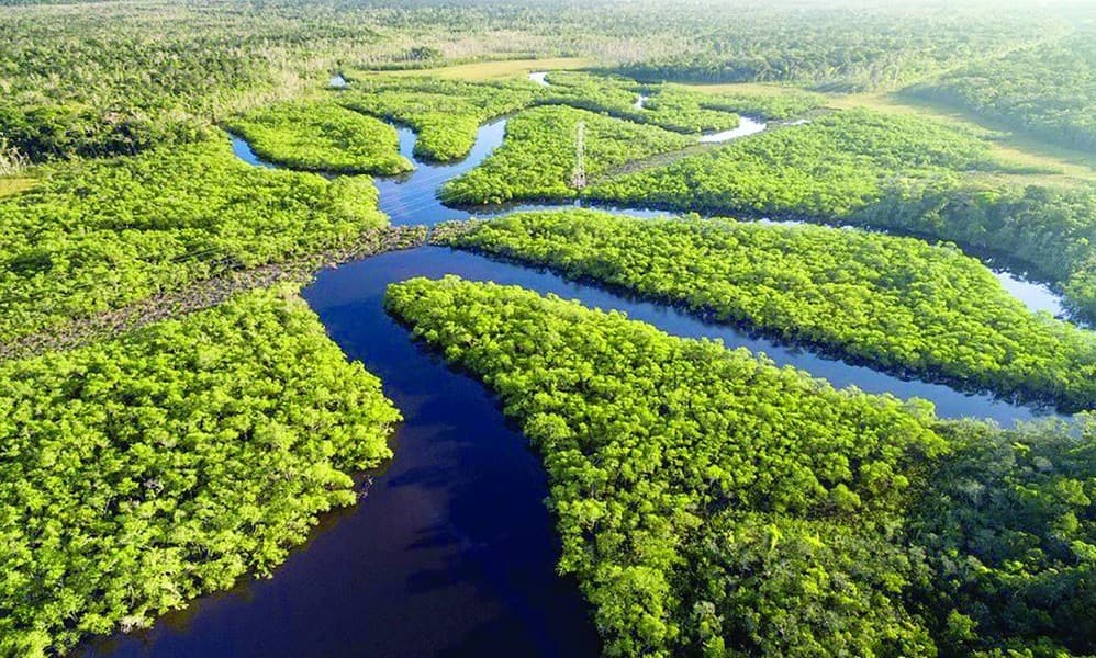curiosidades-sobre-a-amazonia