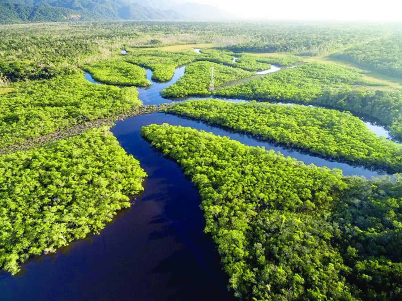 Noruega anuncia doação de US$ 50 milhões para o Fundo Amazônia na COP28