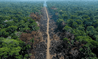 desmatamento-na-amazonia-ajuda-a-derreter-neve-do-tibete-mostra-estudo-1000×600 desmatamento-na-amazonia-ajuda-a-derreter-neve-do-tibete-mostra-estudo-1000x600