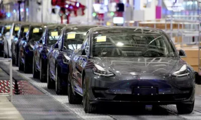 ef6feeymgnkthiesd6n7demjja