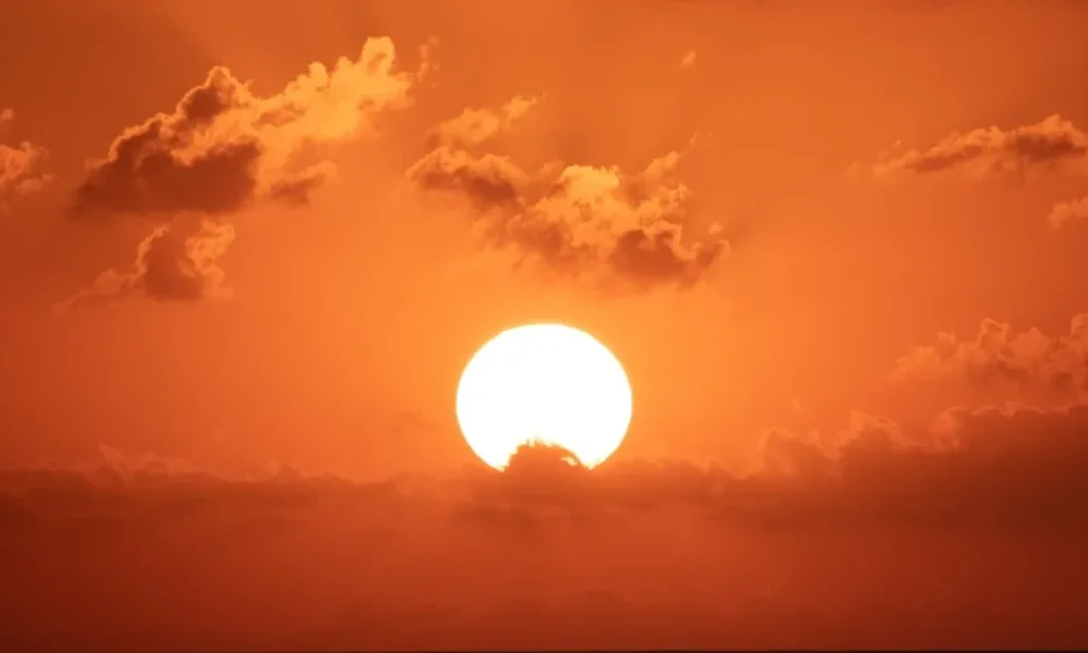 whatsapp-image-2023-11-17-at-11.02.24 whatsapp-image-2023-11-17-at-11.02.24