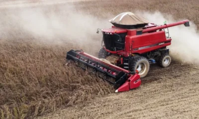 15-20230307122109_DJI_0805-1024x680-1-1000x600