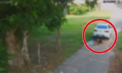 FOTO-1000×600 FOTO-1000x600