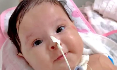 Frame-145-23-976x600