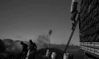 Frame-145-51-976x600