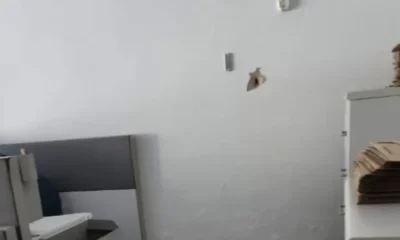 Frame-82-11-1-976x600