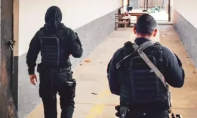 Frame-82-11-2-976x600