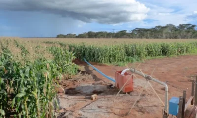 GW_fed_irrigation_Kabwe_Zambia-2048x1366-1