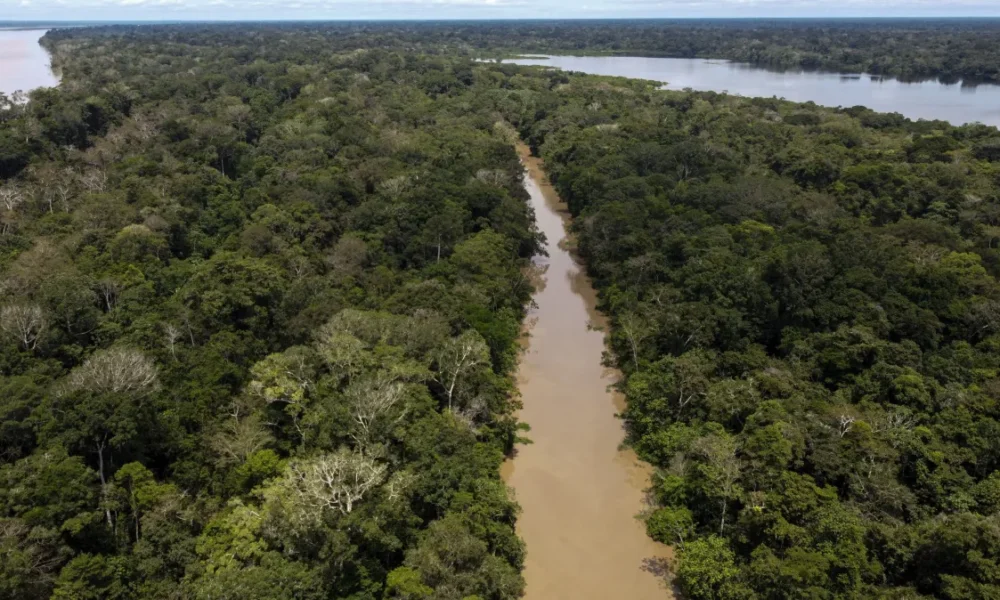 GettyImages-1252160888