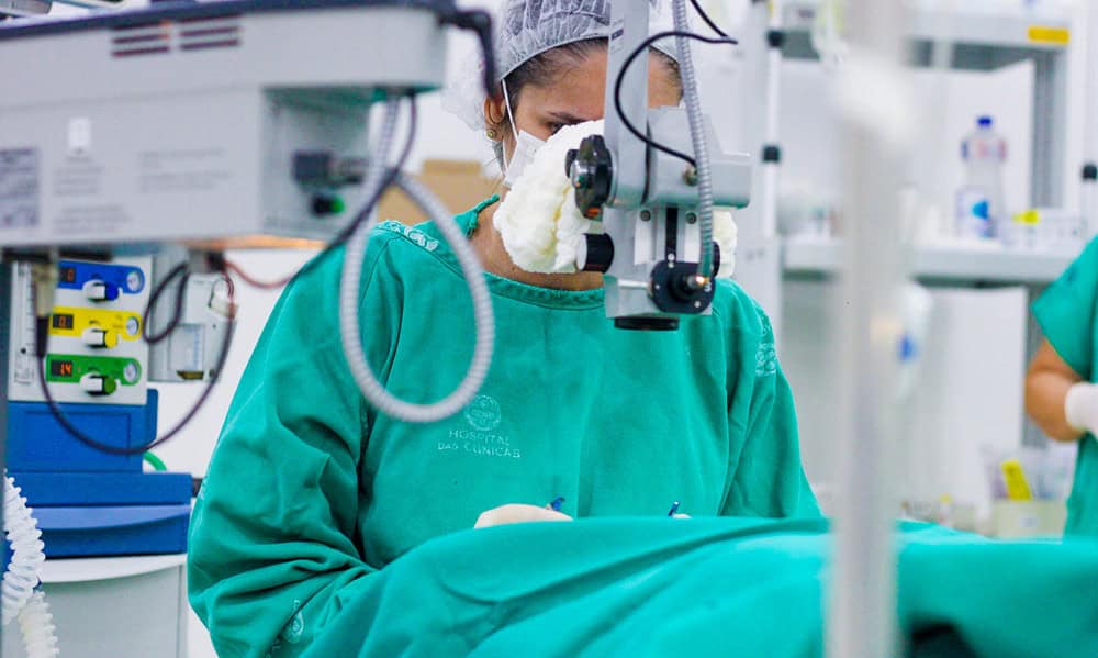 IMG_4989-1536×1024 IMG_4989-1536x1024