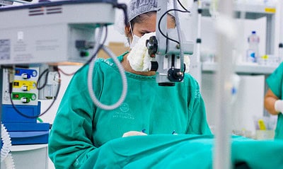 IMG_4989-1536×1024 IMG_4989-1536x1024