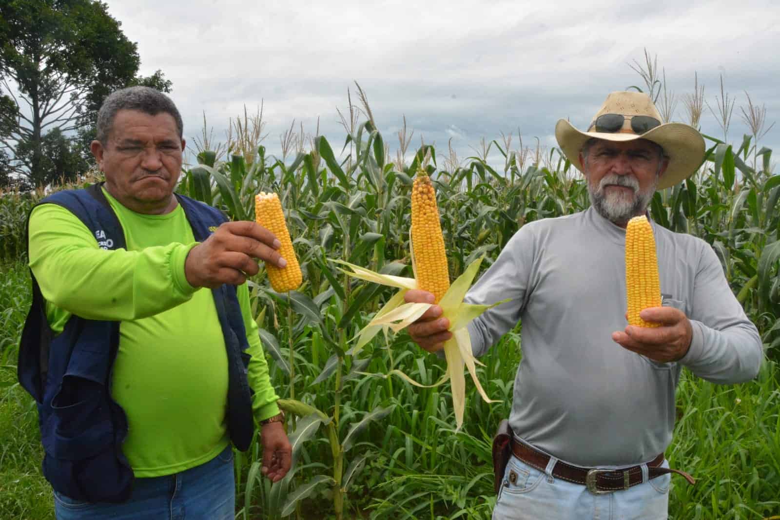 Com incentivo ao homem do campo, prefeitura fortalece o setor produtivo
