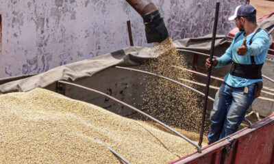 Soja-2-Marcos-Vicentti