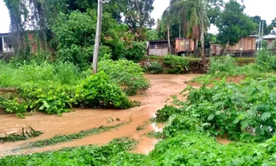 WhatsApp-Image-2024-01-04-at-11.24.12-1000×581 WhatsApp-Image-2024-01-04-at-11.24.12-1000x581