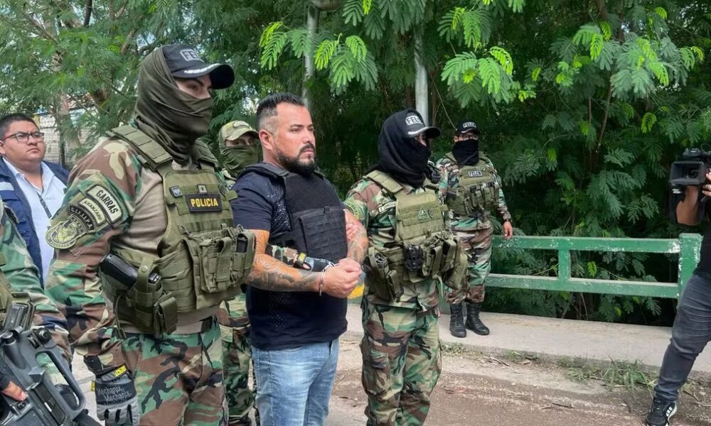 WhatsApp Image 2024-01-11 at 19.42.40 WhatsApp Image 2024-01-11 at 19.42.40