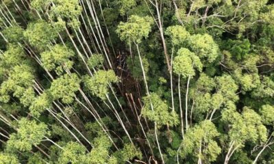 WhatsApp Image 2024-01-12 at 11.42.50 WhatsApp Image 2024-01-12 at 11.42.50