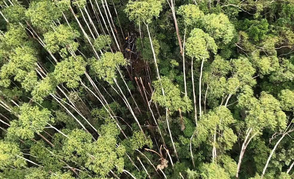 WhatsApp Image 2024-01-12 at 11.42.50 WhatsApp Image 2024-01-12 at 11.42.50