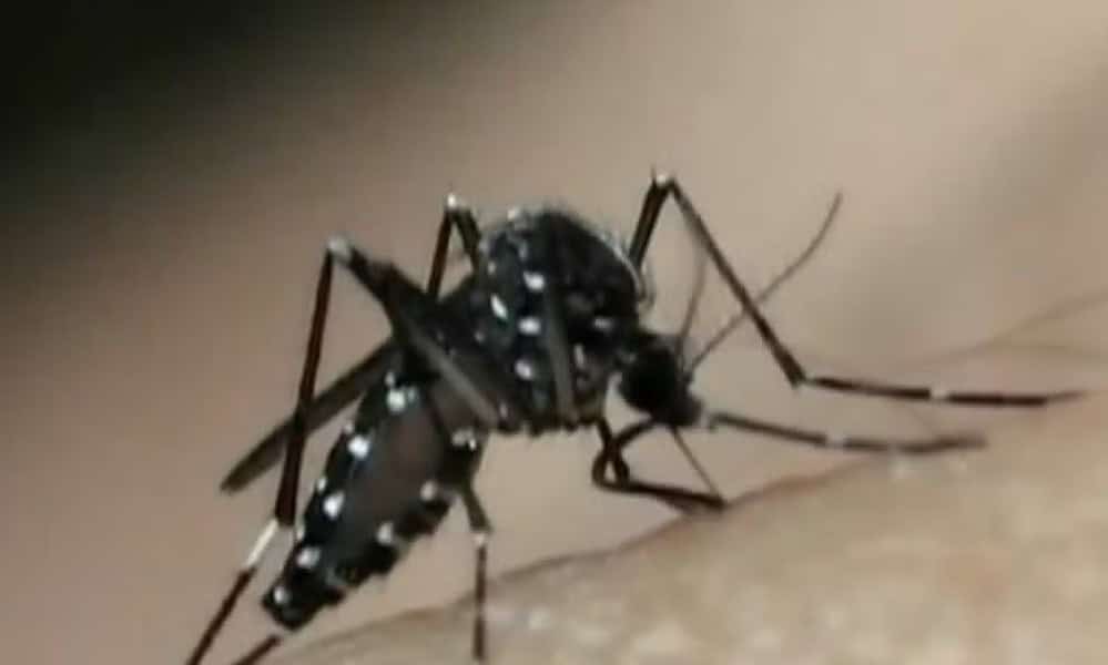 WhatsApp Image 2024-01-15 at 10.35.23 WhatsApp Image 2024-01-15 at 10.35.23