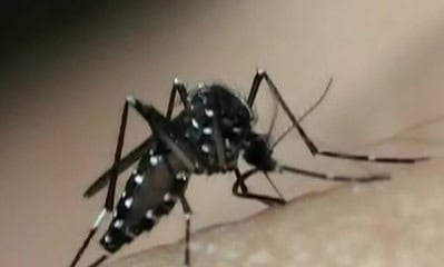 WhatsApp Image 2024-01-15 at 10.35.23