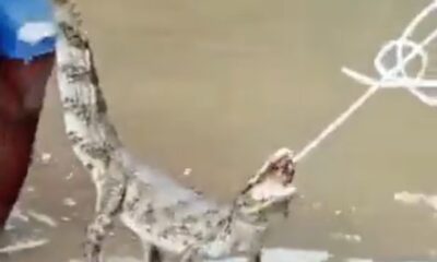 WhatsApp Image 2024-01-15 at 10.59.46