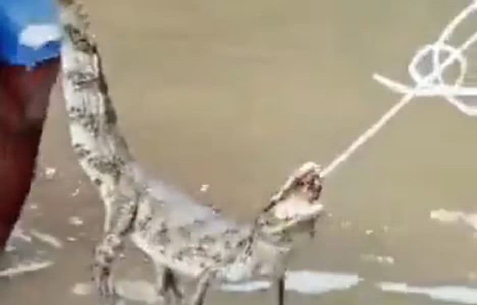 WhatsApp Image 2024-01-15 at 10.59.46 WhatsApp Image 2024-01-15 at 10.59.46