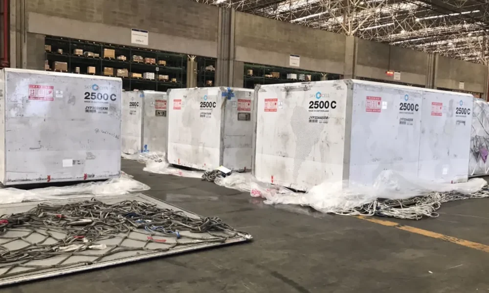 WhatsApp-Image-2024-01-21-at-11.28.02 WhatsApp-Image-2024-01-21-at-11.28.02