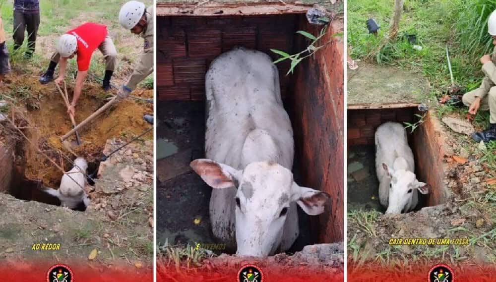 WhatsApp Image 2024-01-23 at 18.43.32 WhatsApp Image 2024-01-23 at 18.43.32