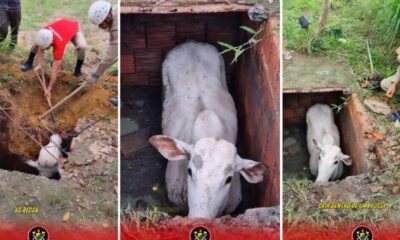 WhatsApp Image 2024-01-23 at 18.43.32 WhatsApp Image 2024-01-23 at 18.43.32