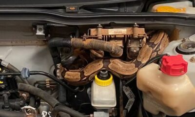 WhatsApp Image 2024-01-29 at 15.33.20 WhatsApp Image 2024-01-29 at 15.33.20