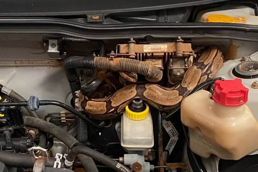 WhatsApp Image 2024-01-29 at 15.33.20