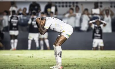 WhatsApp Image 2024-01-31 at 13.51.36