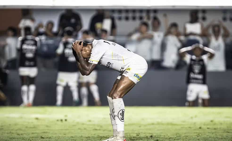 WhatsApp Image 2024-01-31 at 13.51.36 WhatsApp Image 2024-01-31 at 13.51.36