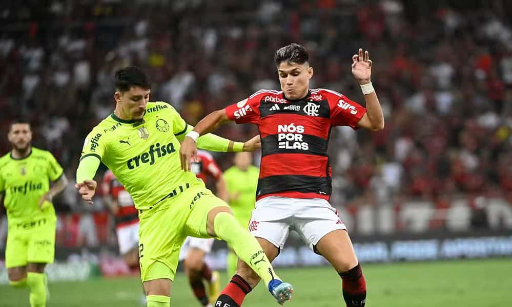 WhatsApp Image 2024-01-31 at 13.58.51 WhatsApp Image 2024-01-31 at 13.58.51