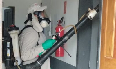 WhatsApp Image 2024-01-31 at 14.55.03 WhatsApp Image 2024-01-31 at 14.55.03