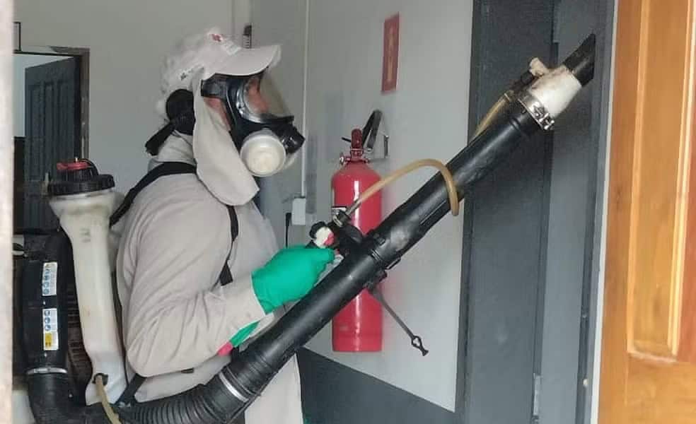 WhatsApp Image 2024-01-31 at 14.55.03 WhatsApp Image 2024-01-31 at 14.55.03