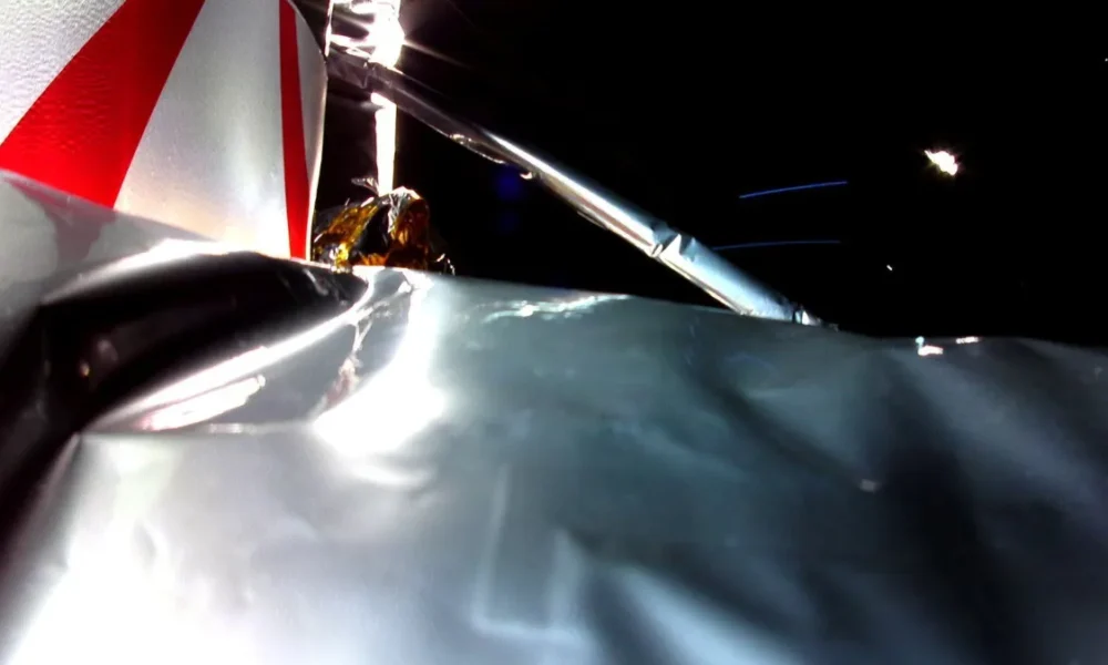 imagem-peregrine imagem-peregrine