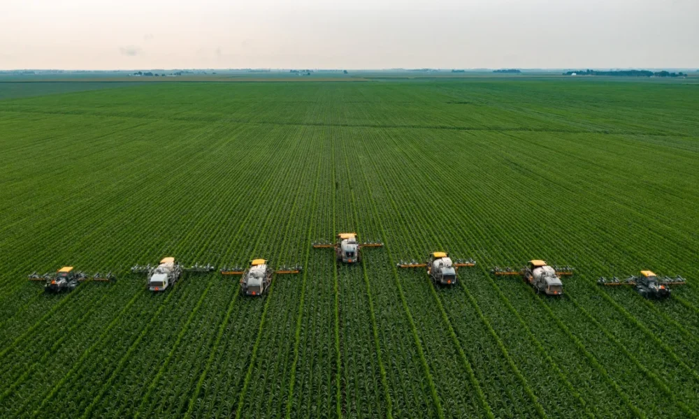 james-baltz-jAt6cN6zl8M-unsplash james-baltz-jAt6cN6zl8M-unsplash