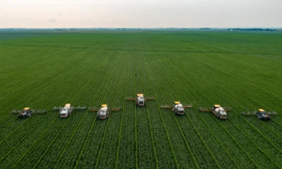 james-baltz-jAt6cN6zl8M-unsplash