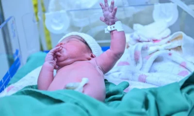 julia-bebe-2024-1000×600 julia-bebe-2024-1000x600