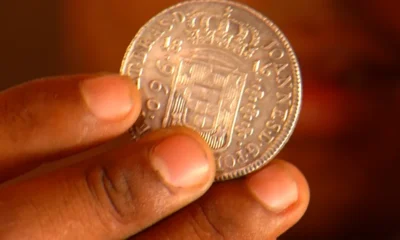 lavrador-2 lavrador-2