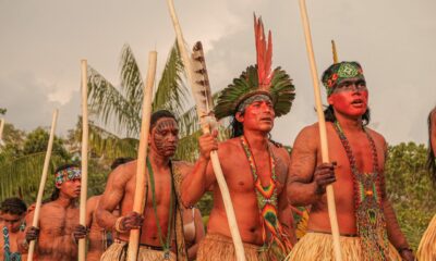 msg2010018568-1031 msg2010018568-1031