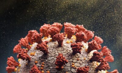 representacao_artistica_novo_coronavirus_covid_19_variante_3 representacao_artistica_novo_coronavirus_covid_19_variante_3