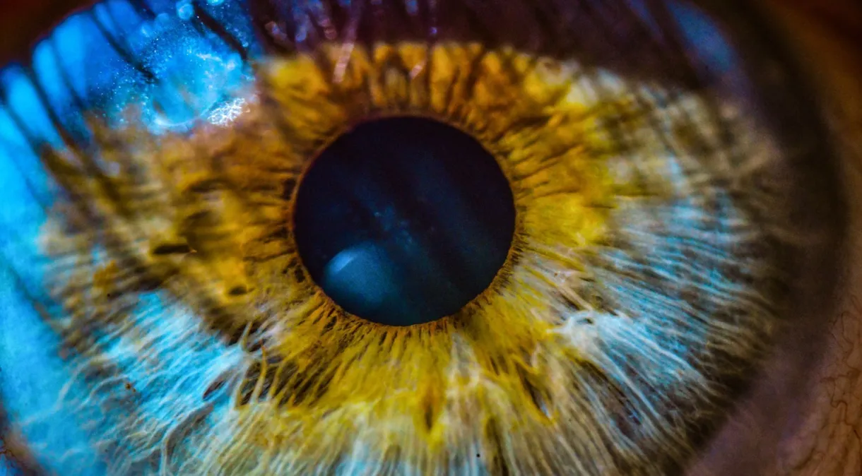 Estudo: espessura da retina pode indicar risco de doenças cardíacas e pulmonares