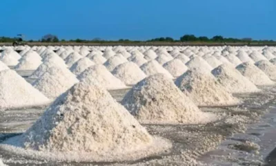 sal-gema-768×481-uvhgn4p2s8xl sal-gema-768x481-uvhgn4p2s8xl