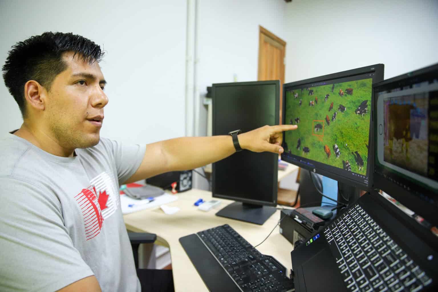 Por meio da inteligência artificial, pesquisa busca facilitar manejo animal no Acre