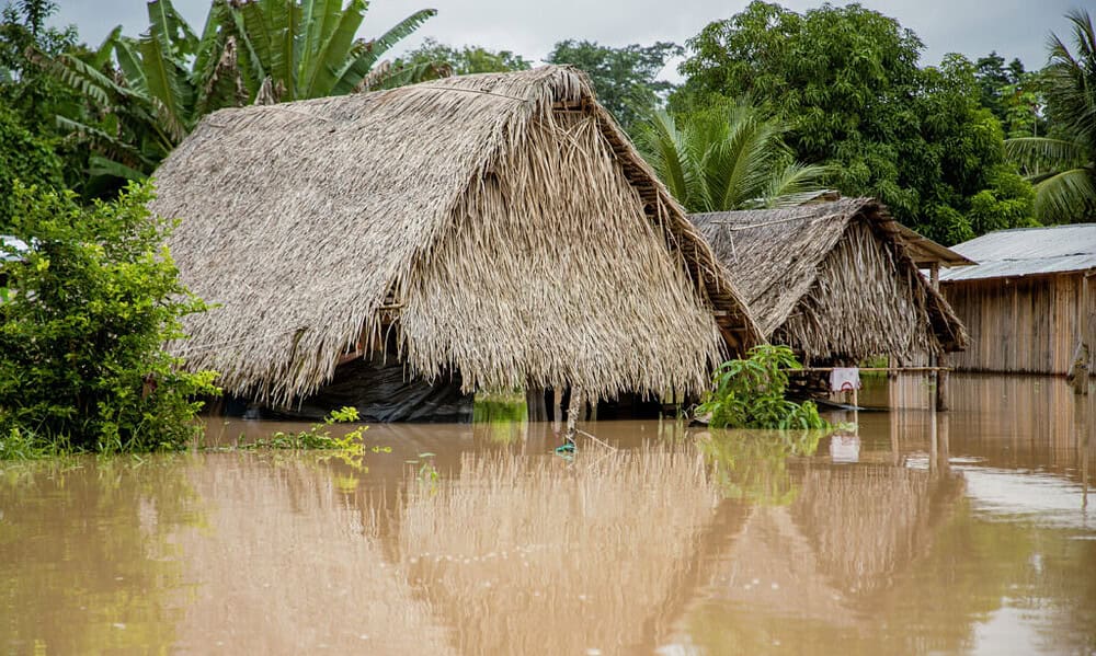 61-IMG_9311-2-1024×683 61-IMG_9311-2-1024x683