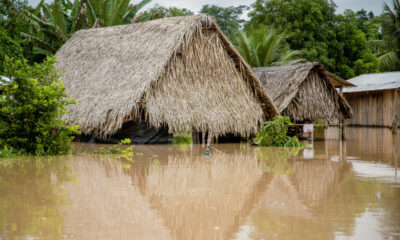 61-IMG_9311-2-1024×683 61-IMG_9311-2-1024x683