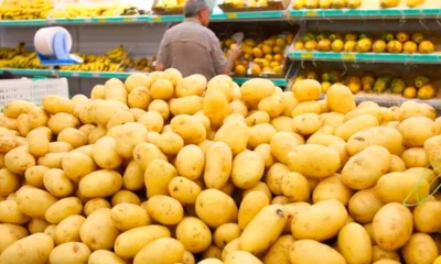 BATATA–976×600 BATATA--976x600
